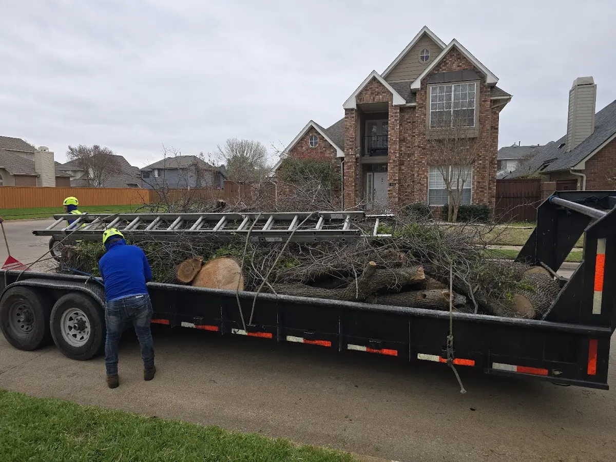 Expert Lot Clearing with proper safety equipment in Ballico